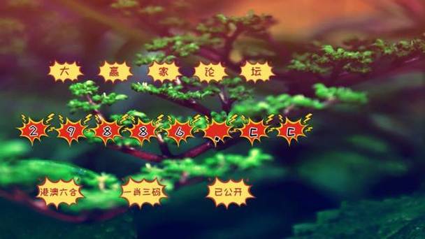 77777788888免费四肖网站呢最新版和4777777开奖结果开奖号码查询-实践调查解析说明