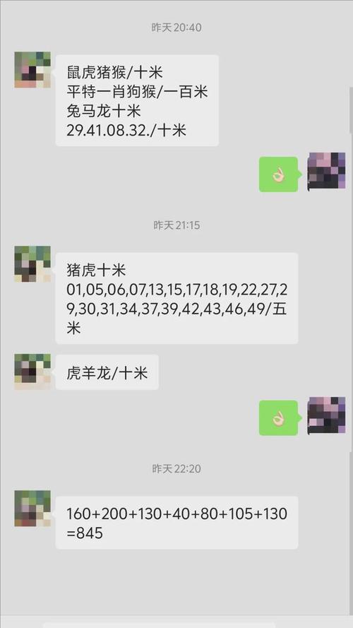一肖一码中持一安卓版同新门内部资料免费网站-实地数据验证执行