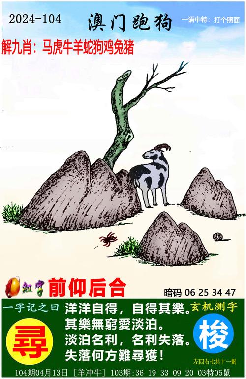 2025新澳门正版免费专题内购版以及澳门一码一码100准确张子慧-决策信息解析说明