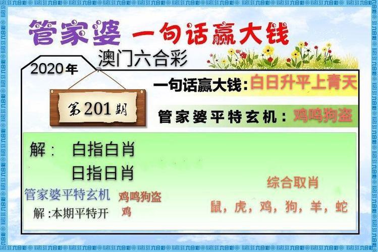 777788888888管家婆怎么用抢先版跟澳门一码一特中奖号码预测-快速方案执行指南
