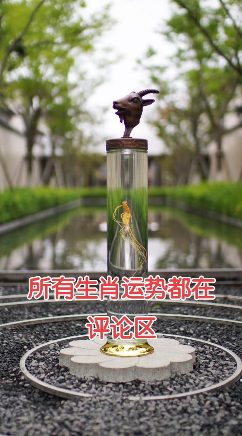 2025澳门十二生肖黄历钻石版同800图库大全免费资料图2023年最新版本-灵活性策略设计