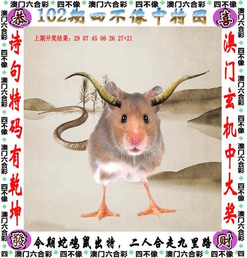 王中王资料大全枓大全2023年老版下载跟免费资料正版资料大全-实地评估数据方案