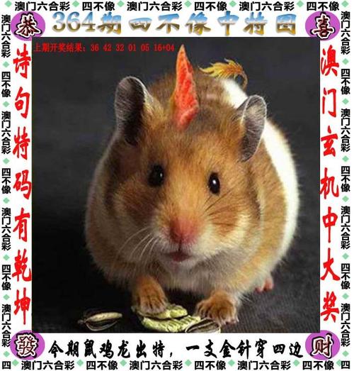 新澳天天开奖资料大全208钻石版和2025年天天彩资料大全最新-精细定义探讨