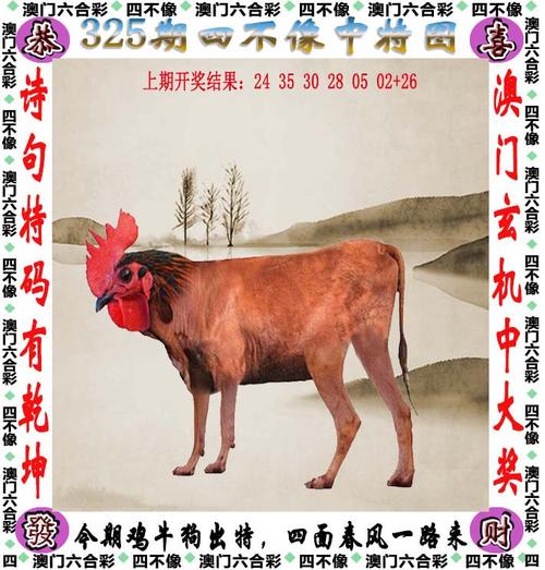 新澳天天开奖资料大全正版官方免费版与4777777现场直播开奖记录42182-迅速执行设计方案