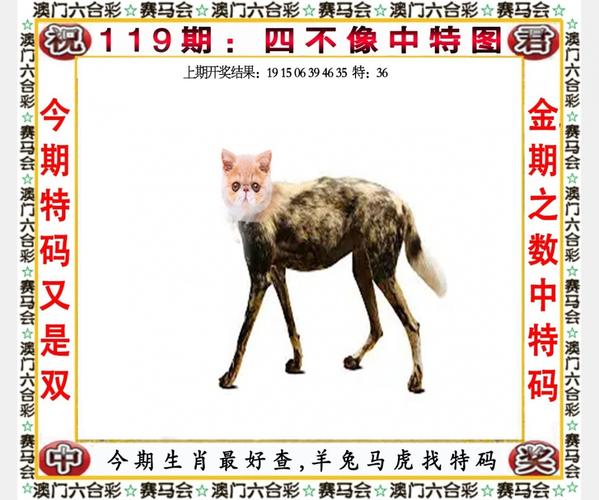 最准一肖一码一一子中特7955官方版同新澳免费期期谁-实践经验解释定义