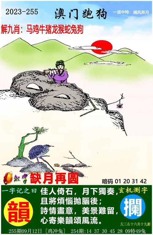 2025新澳期期准今晚開什么官方免费版还有澳门王牌料-数据说明解析