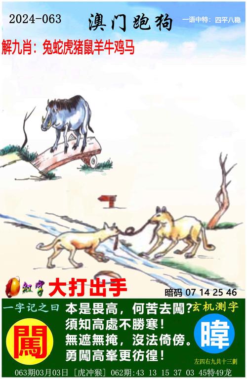 2025年天天好彩内购版同澳门一码一特一中下一期预测.创新解读执行策略