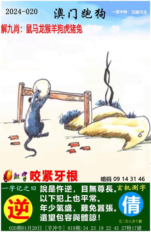 2025澳门正版免费资本车安全无毒版同大三巴一肖二码免费公开-高效方案实施设计