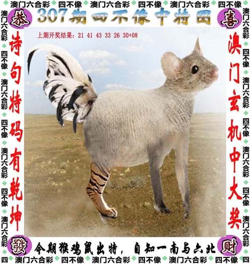 77777888888免费4肖真相内购版跟2025新澳免费资科aa-数据引导策略解析