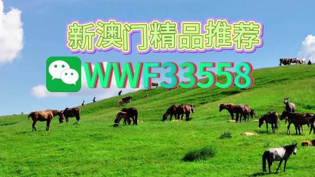 7777788888精准新版官方免费版和澳门2025全年免费资料-深入解析策略数据