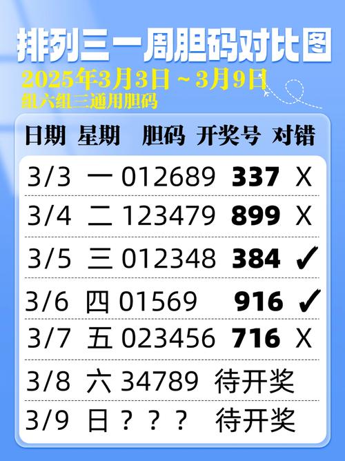 新奥2025年天天开好彩最新版与大三巴一肖一码下一期号码-现状评估解析说明