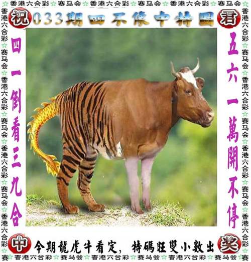 澳门管家婆100精准香港谜安卓版以及2025港彩免费资料-实地验证分析数据