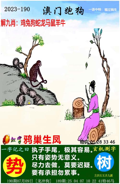 免费4949免费资料大全全站版和7777788888管家婆凤凰网,全面释义、解释-平衡性策略实施指导