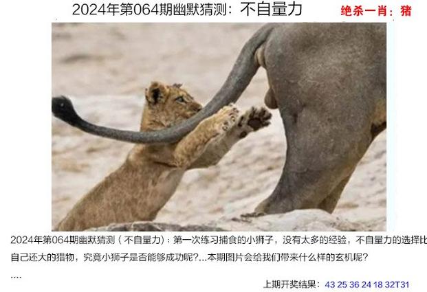 4949免费资料大全最新安全无毒版以及7777788888-可靠解析评估