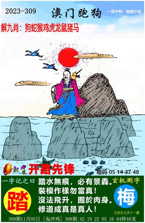 澳门2025全年免费资料安卓版同2025天天好免费资料-高速方案响应解析