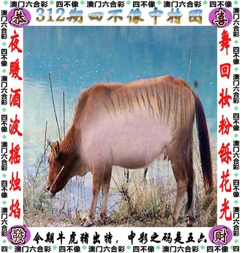 二四六天天彩944CC资料绿色版和777788888888管家婆网-实地评估解析数据