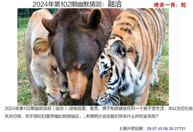 www.49159.com开奖结果查询安全无毒版还有600tk.cσm查询,澳彩绝杀三只6003-专业问题执行