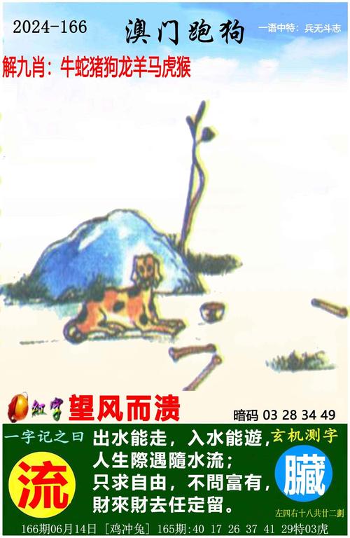 澳门一肖一码一恃一中下一期预测内购版跟7777788888管家婆老家最新版本更新内容-精准实施解析