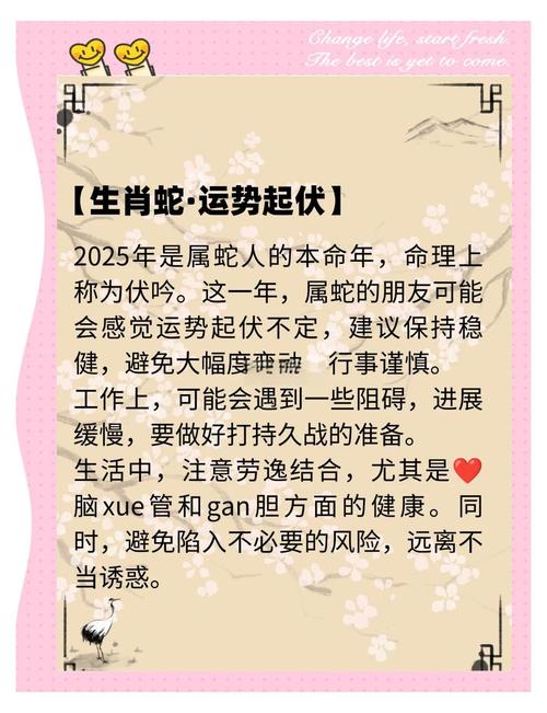 新澳门免费挂牌灯牌活动正式版以及2025年天天免费资料2025-实效设计计划解析