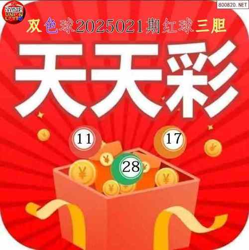 2025新奥门天天开大全全站版和2025年天天彩免费大全600库存-实地评估数据策略