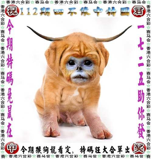 7777788888精准管家免费下载安卓版和77777788888免费四肖99-资源策略实施