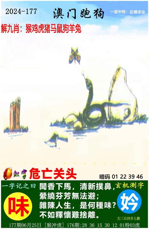 2025年天天免费资料2025全站版同5555555王中王免费大全的全面-全面数据执行方案