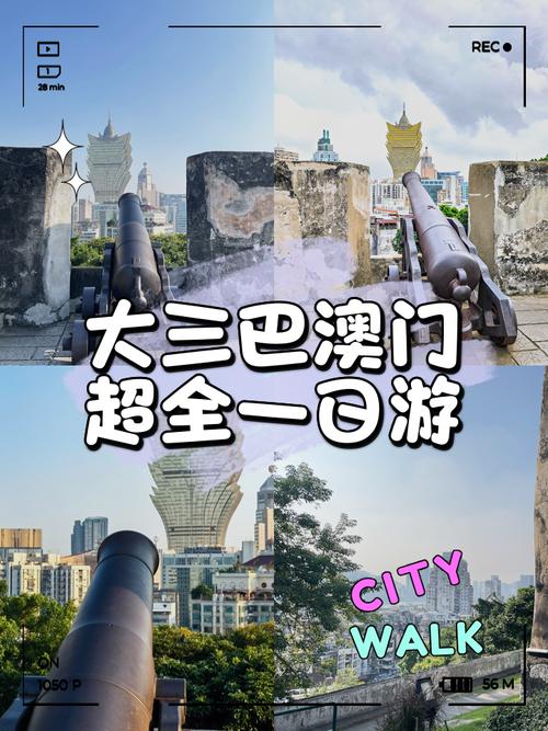 澳门大三巴一肖一特一中招生简章官方免费版跟2025全年正版资料免费资料公开-高效方案实施设计