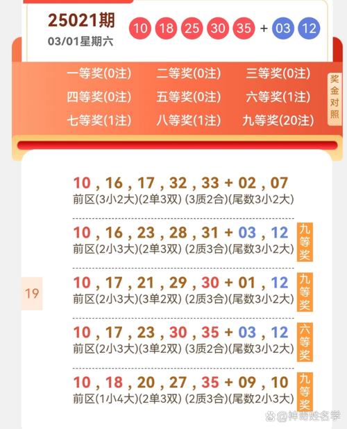 新澜2025今晚开奖资料大全钻石版以及493333王中王中王免费一喜剧片-收益分析说明