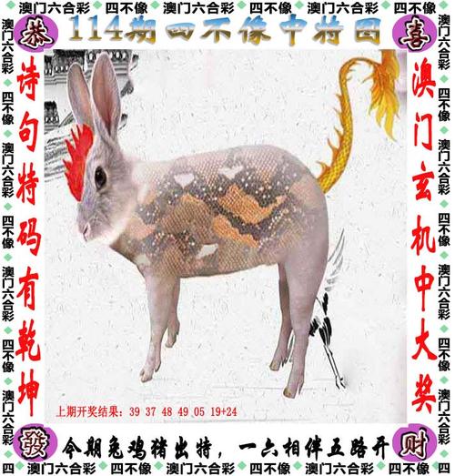 澚门一肖一码最新版和新澳门免费挂牌灯牌活动-综合性计划定义评估