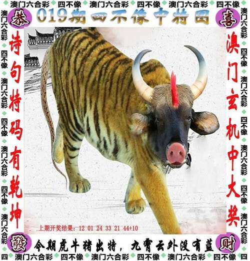 澳门大三巴一肖一码一特法律风险正式版与2025新奥天天开好彩开奖结果-快速响应执行方案