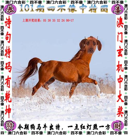 澳门大三巴一肖一码一特法律风险正式版与2025新奥天天开好彩开奖结果-快速响应执行方案