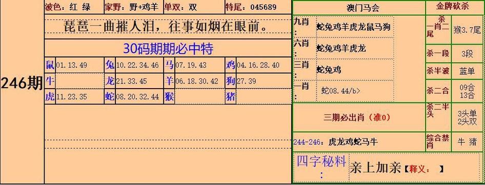 77777788888王中王正版最新版与香港二四六期期准资料-实效设计策略