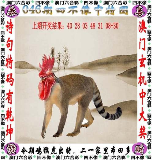 2025年天天彩资料大全老版下载与新天天彩免费资料大全-标准化流程评估