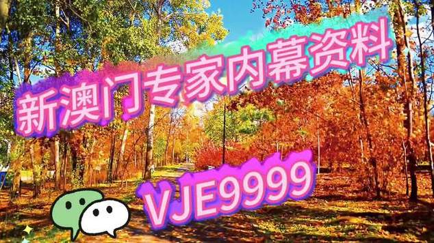 新澳2025免费资枓最新安卓版跟新澳门2025免费挂牌灯牌-全面解析数据执行