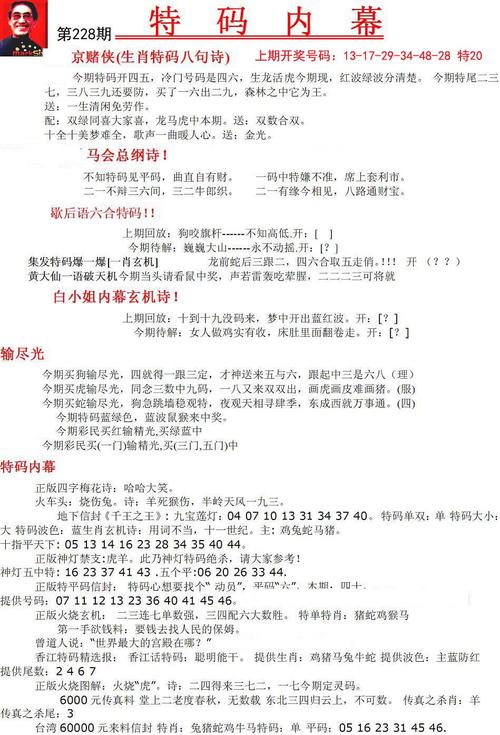 管家婆中特王中王正式版跟7777788888四肖四-快速计划解答设计