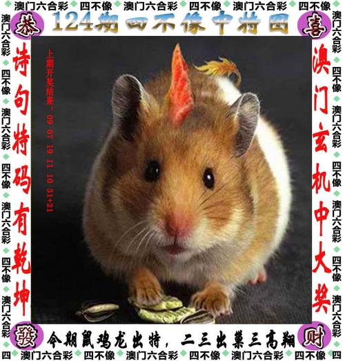 77777888888绿色版跟777788888888管家婆使用教程-综合数据解释定义