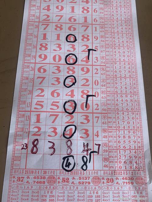 2025新澳门天天精准谜语安全无毒版还有今晚澳彩最佳一肖-深度调查解析说明
