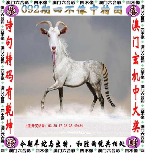 2024正版资料免费大全官方免费版同4949cc澳门天天彩-实地数据验证设计