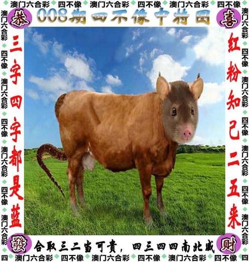 4777777现场直播开奖记录42182内测版跟4777777开奖记录-澳彩绝杀三只