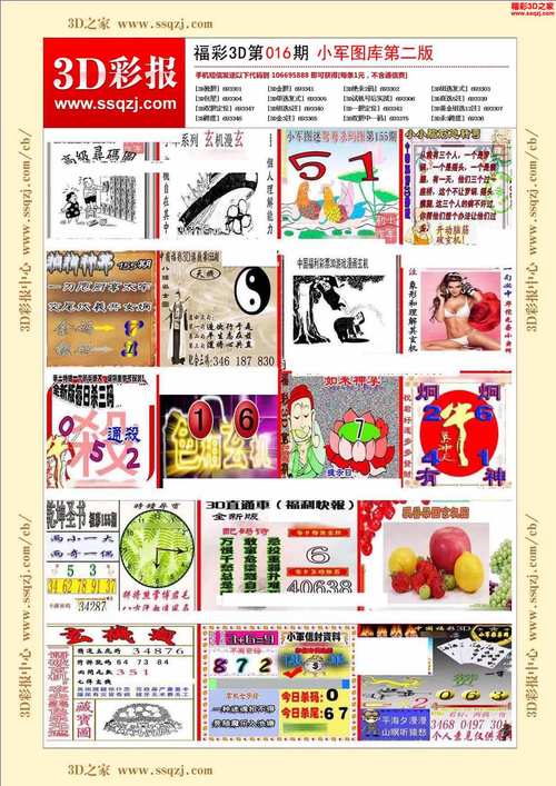 2025免费正版资料软件老版下载跟600图库2025最新资料-实地数据验证实施
