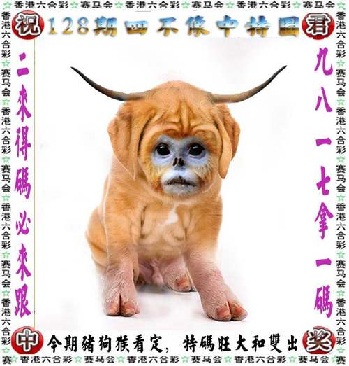 二四六管家婆期期中钻石版还有2025新澳内部免费爆料新闻-高效实施方法分析