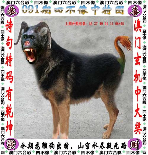 77777788888四肖官方免费版还有2025年澳门天天彩大全-实践策略设计