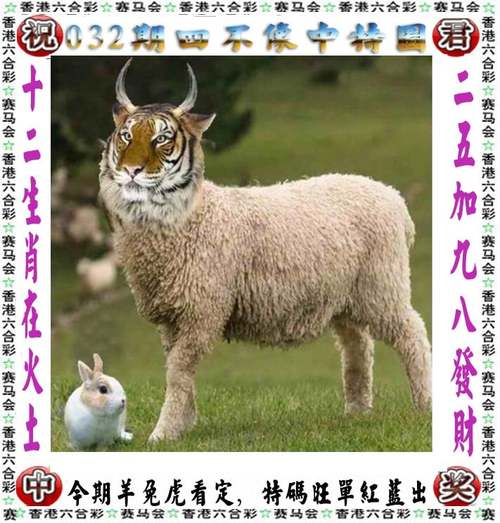 2025年正版资料免费最新版本大全官方免费版还有新彩最新免费资料-稳定计划评估