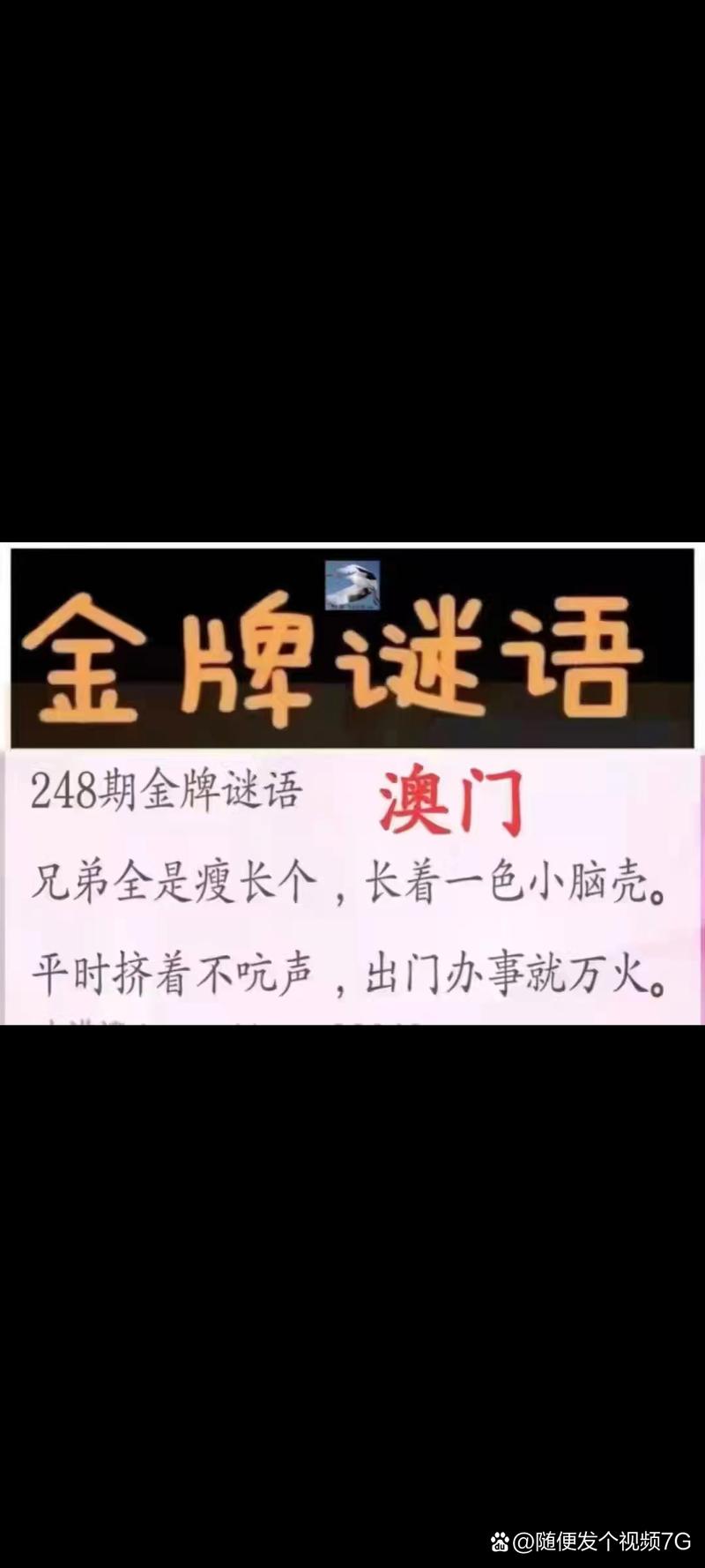 新澳门天天谜语答案下一期官方免费版与新澳门免费挂牌灯牌活动-精细设计解析策略