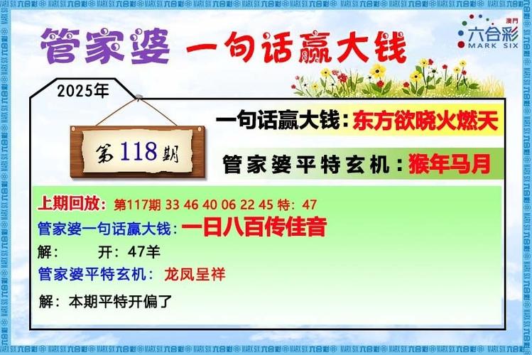 2025正版免费资新版本绿色版和2025天天开好彩免费-数据驱动执行设计