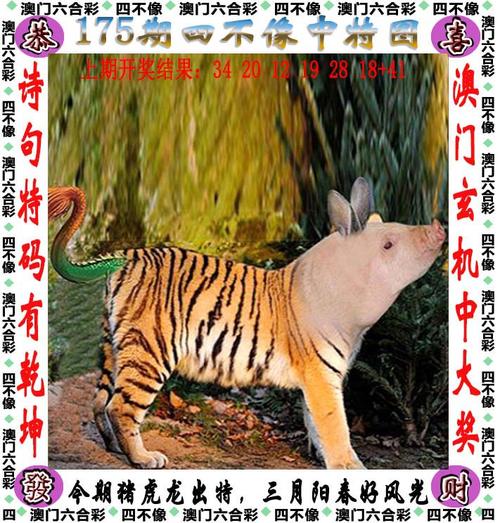 77777888888免费4肖钻石版和大三巴一肖一码一特一中-快速设计响应解析